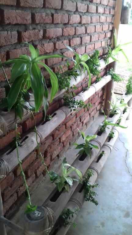 Longchen Homestay Dimapur Bagian luar foto